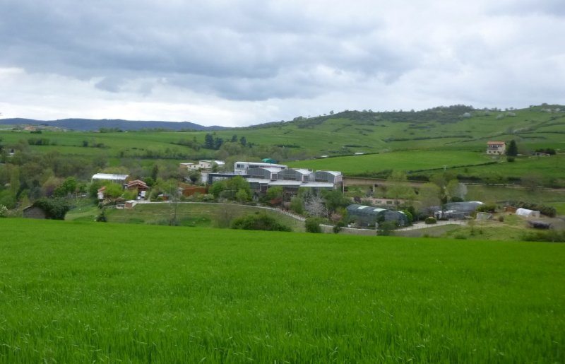 Rando des Badrais - St Didier Sous Riverie - 24 avril 2016